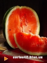 Watermelon | 240*320