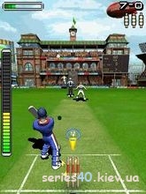 Flintoffs Power Play Cricket | 240*320