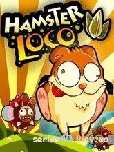 Hamster Loco | 240*320