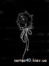 Black rose | 240*320