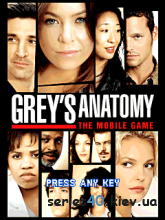 Grays anatomy | 240*320