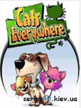 Cats Everywhere (от GlobalFun)[Preview]