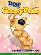 Goosy pets dog | 240*320