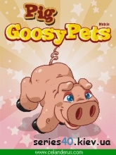 Goosy Pets Pig | 240*320