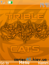 Trible cats by Koss | 240*320