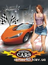 Sizzling Cars: Challenge 2008 | 240*320