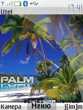 Palms by agressor2207 | 240*320