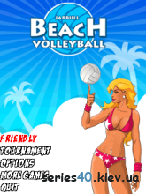 Beach Volleyball | 240*320