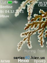 Morning frost by Playman | 240x320