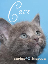 Catz 	SomeOne.UA | 240*320