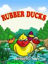 Rubber Ducks | 240*320