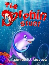 The dolphin stunt | 240*320