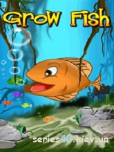 Grow Fish | 240*320