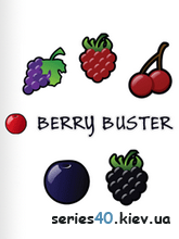 Berry Buster | 240*320