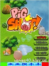 Pig shot | 240*320